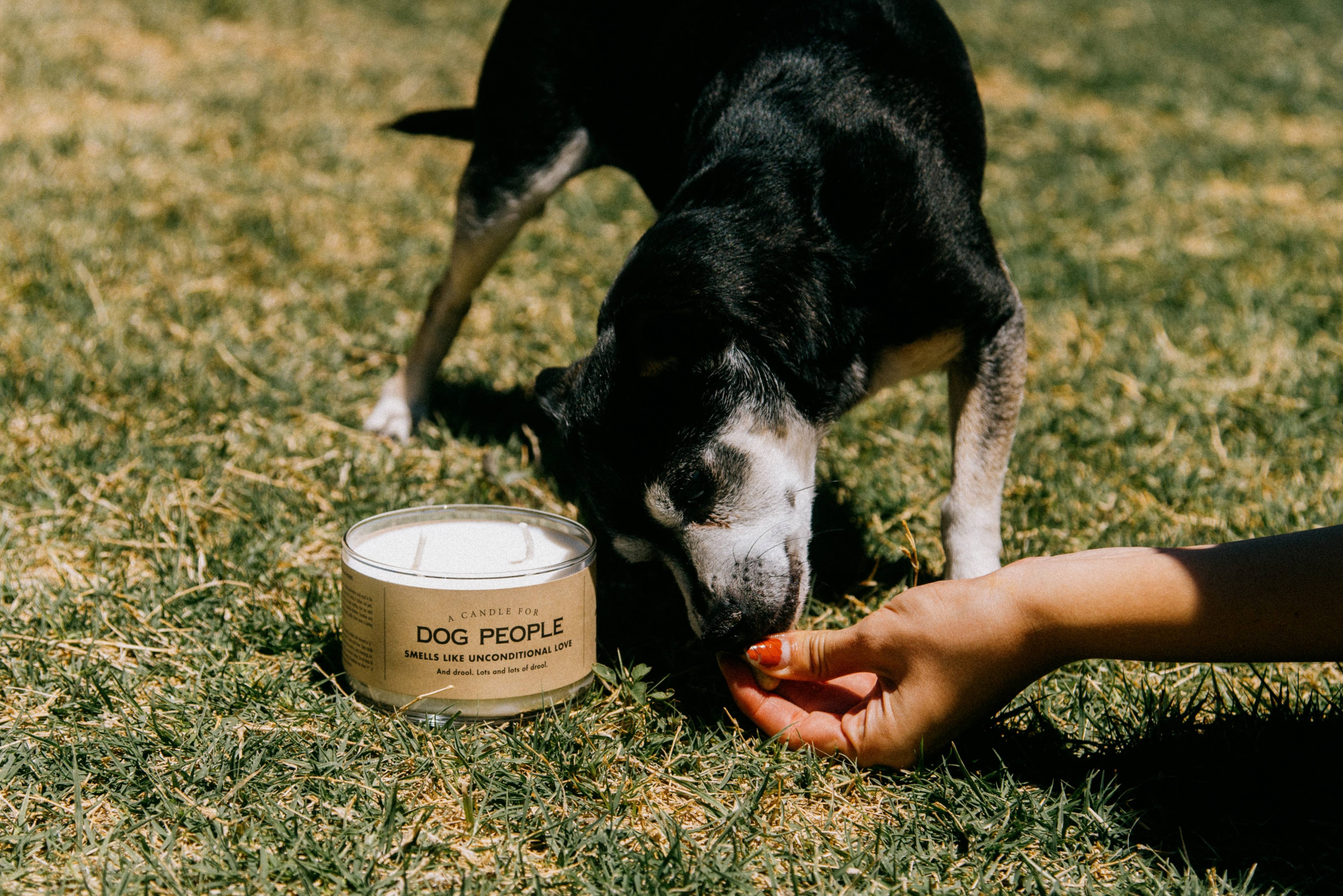 Whiskey River Soap Co. - A Candle for Dog People | Funny Candle