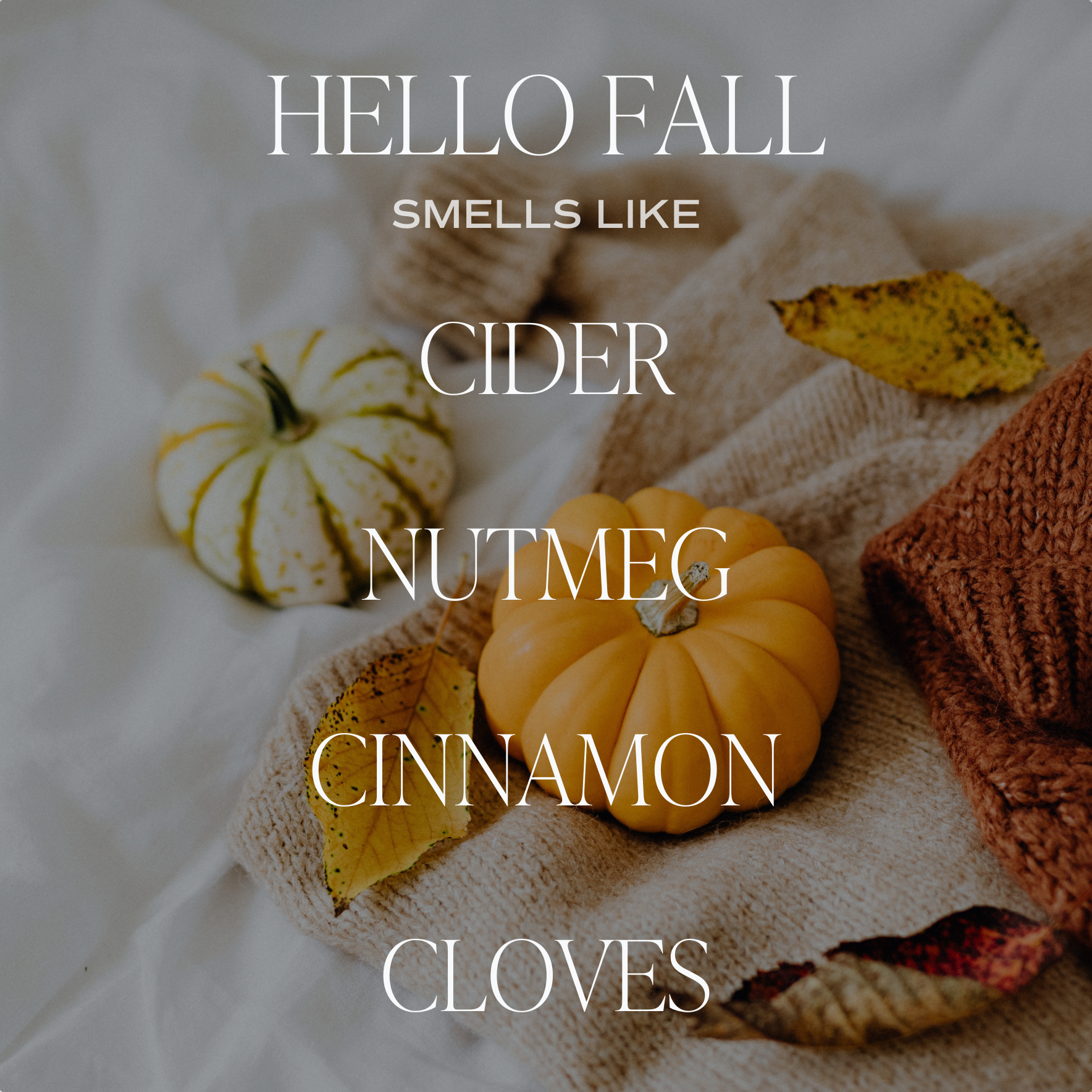 Sweet Water Decor Hello Fall 11oz Candle in Amber Jar