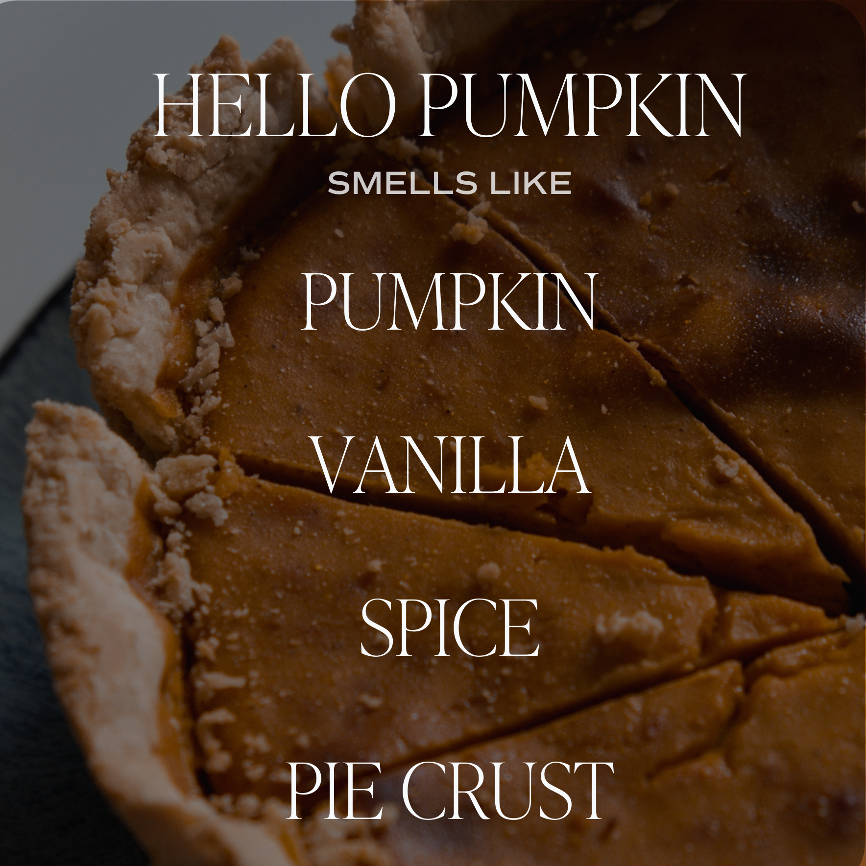 Sweet Water Decor - Hello Pumpkin 12 oz Soy Candle in Black Stone Container
