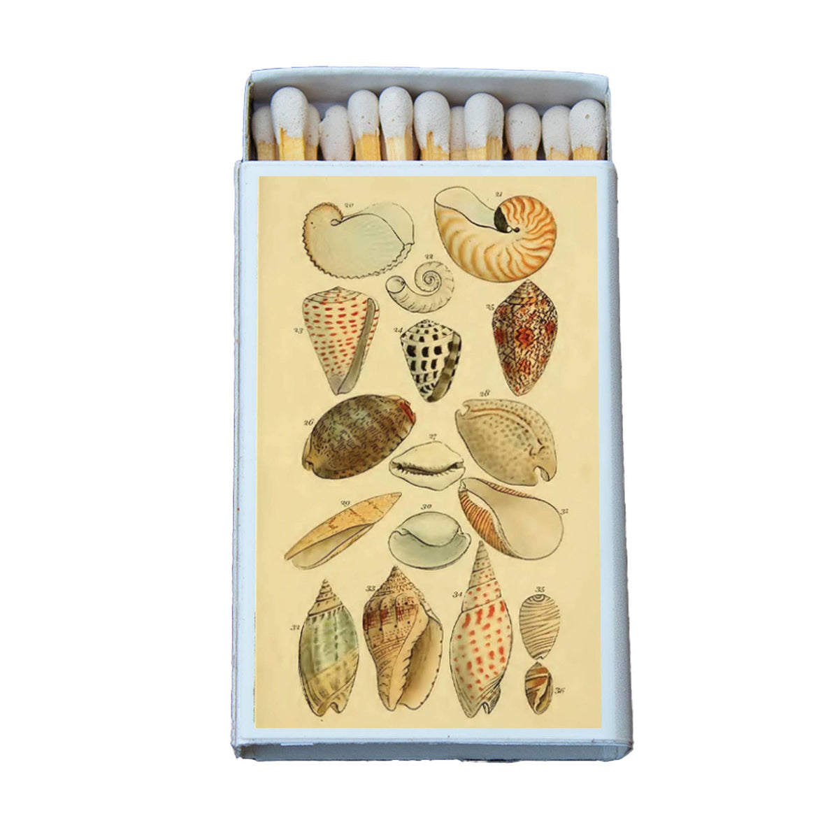 Matchbox with illustrations of shells on a beige background