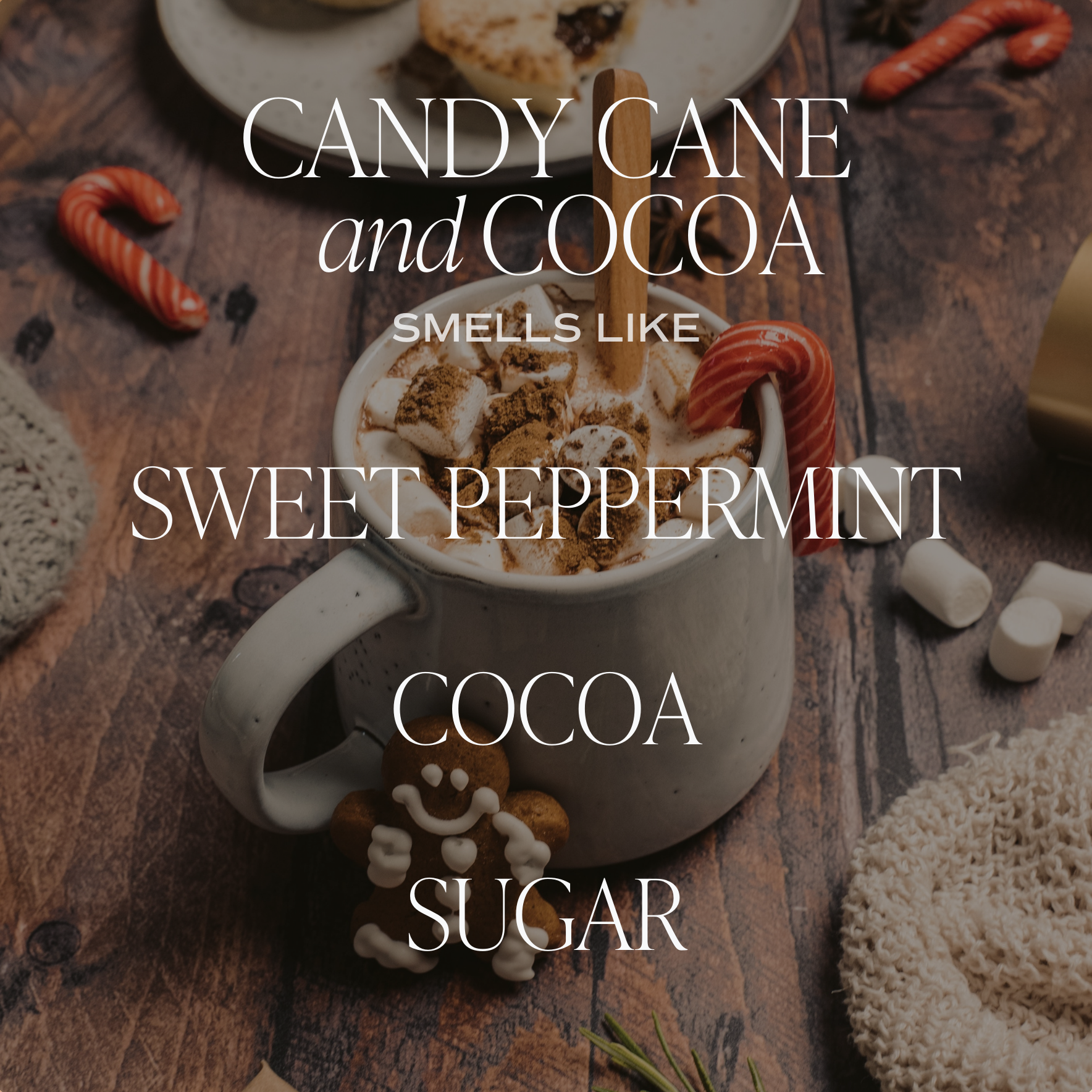 Sweet Water Decor Candles Candy Cane & Cocoa