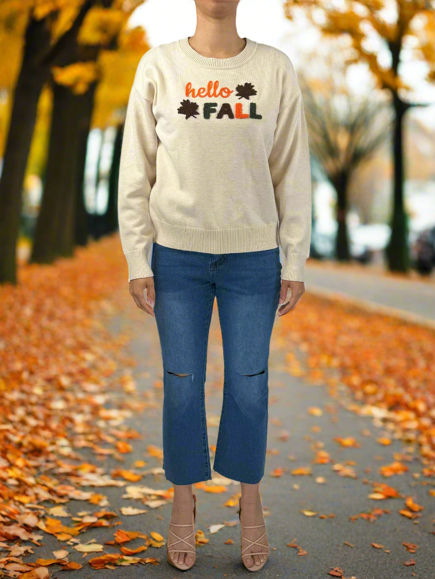 Hello Fall Sweater